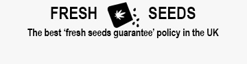 Fresh Cannabis Seeds Guarantee - Best Quality Marijuana Seeds Policy
